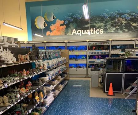 Petco