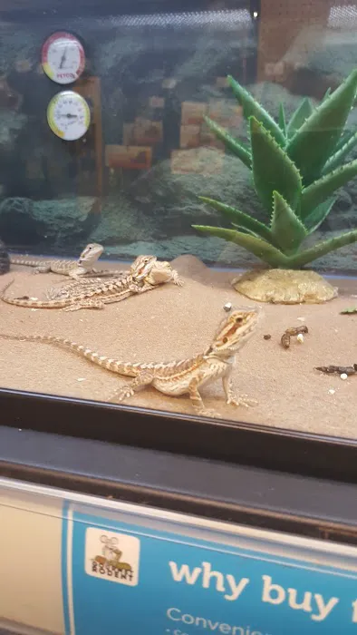 Petco Picture 6