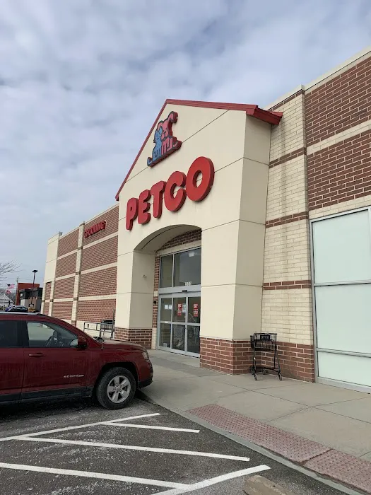 Petco Picture 2
