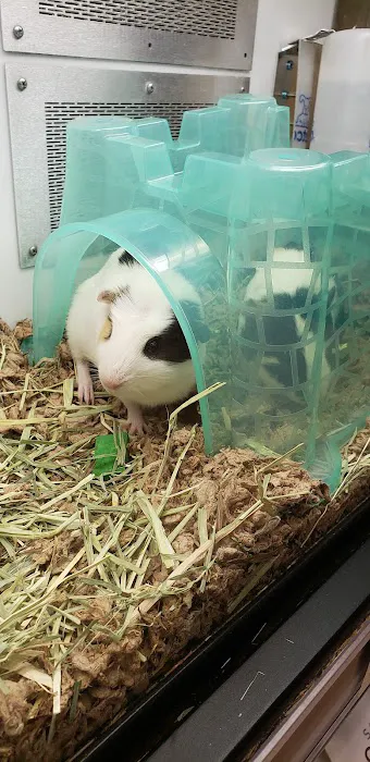 Petco Picture 10