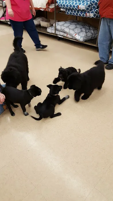 Petco Picture 9