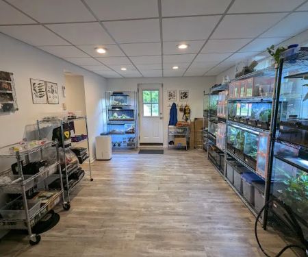 Pet Pedes and Pods
