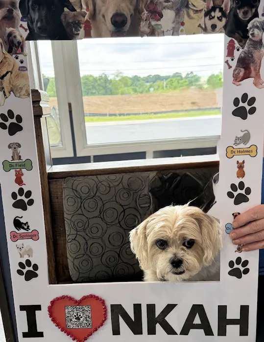 North Kingstown Animal Hospital Picture 8