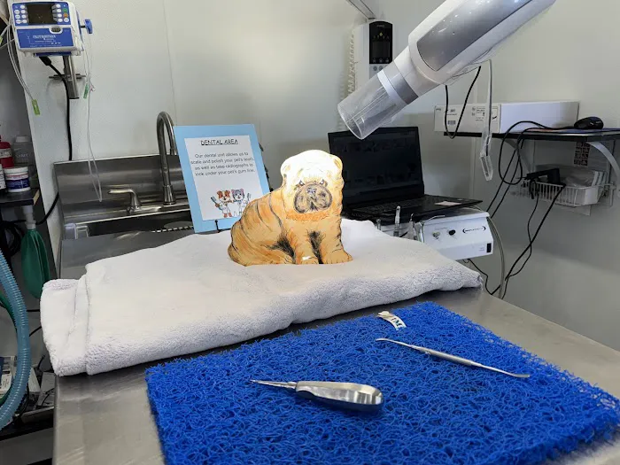 North Kingstown Animal Hospital Picture 6