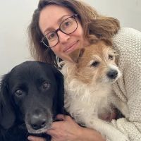 North Kingstown Animal Hospital ico