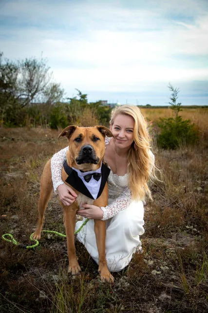North Kingstown Animal Hospital Picture 2