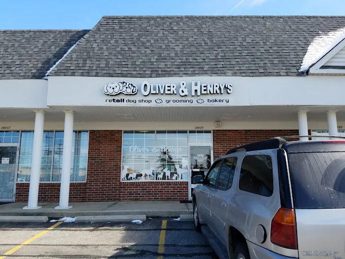 Oliver & Henry's Boutique Grooming Picture 2