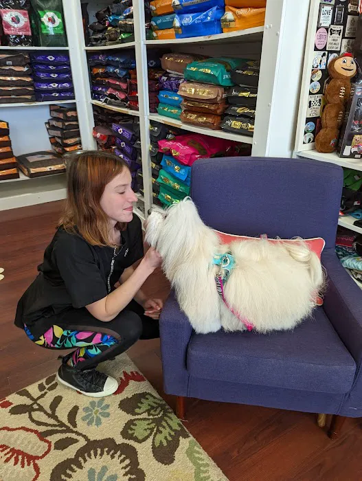 Oliver & Henry's Boutique Grooming Picture 6