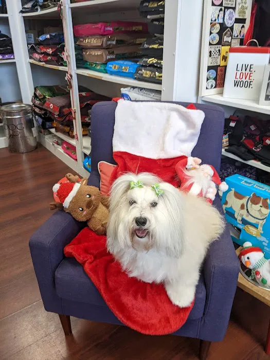 Oliver & Henry's Boutique Grooming Picture 10