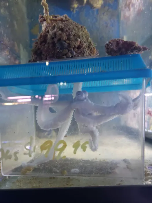 Aquatic Technology Picture 1