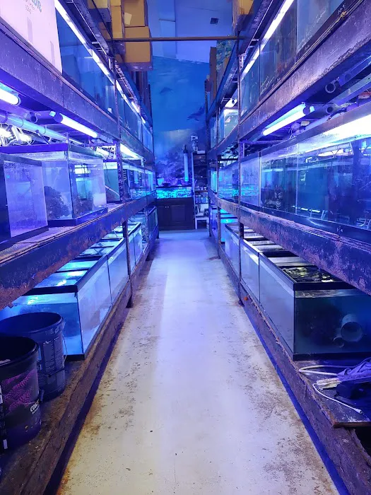 Aquatic Technology Picture 8