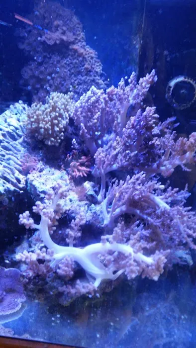 Aquatic Technology Picture 10