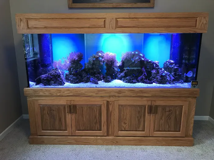 Aquatic Technology Picture 7