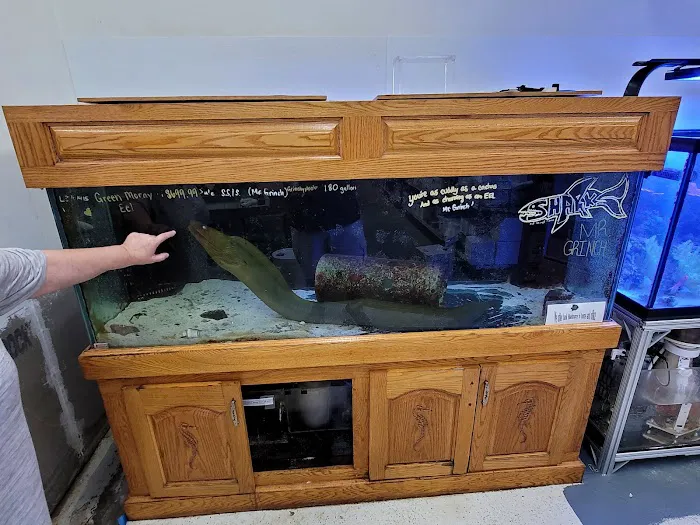 Aquatic Technology Picture 3