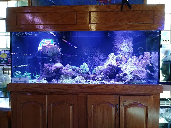 Aquatic Technology Picture 6