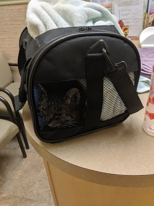 Veterinary Healing Arts Picture 8