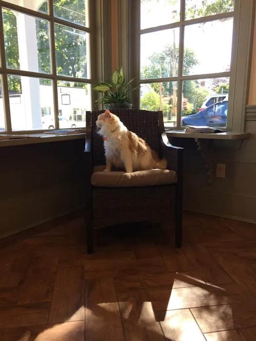 The Village Veterinary Center Picture 7