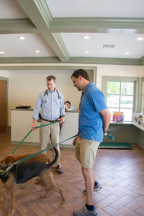 The Village Veterinary Center Picture 2