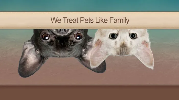 Wickford Veterinary Clinic Picture 9