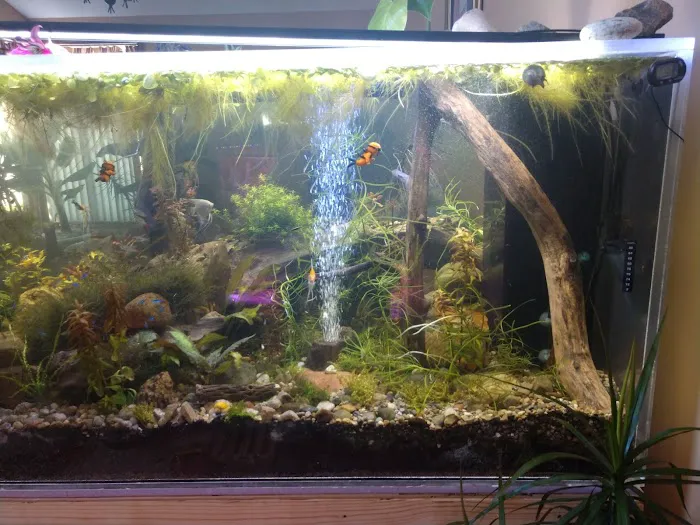 Aquatica Aquarium Gallery Picture 5