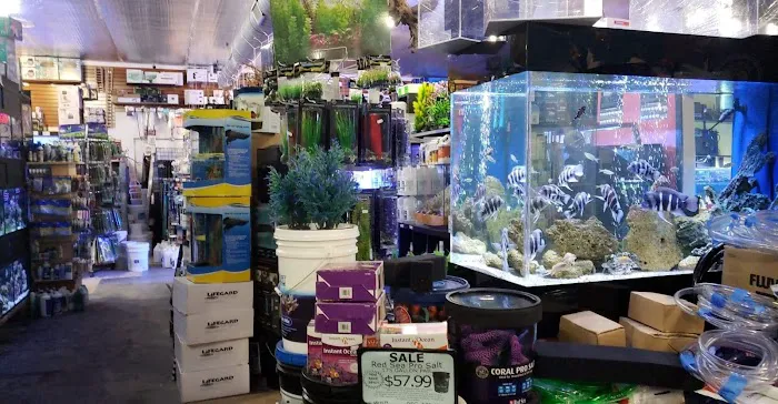 Aquatica Aquarium Gallery Picture 8
