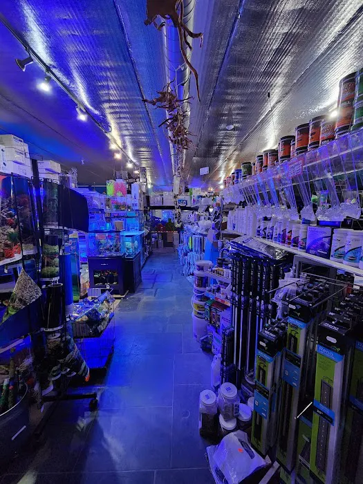 Aquatica Aquarium Gallery Picture 7
