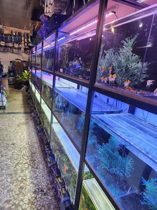 Aquatica Aquarium Gallery Picture 6