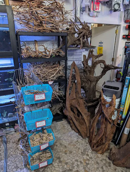Aquatica Aquarium Gallery Picture 4