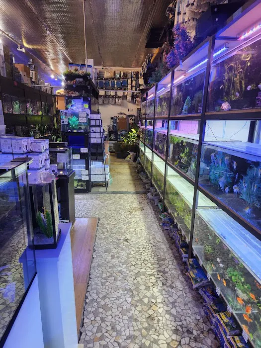 Aquatica Aquarium Gallery Picture 2