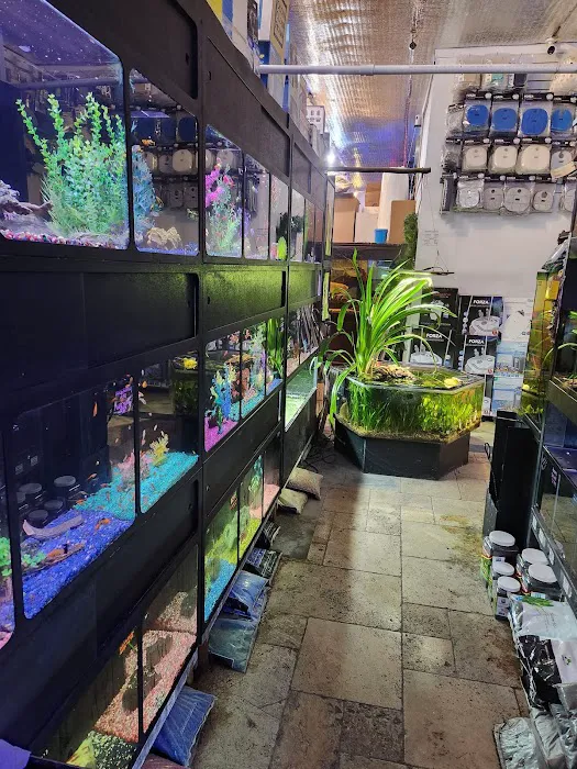 Aquatica Aquarium Gallery Picture 10