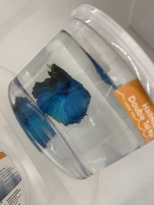 Petco Picture 8