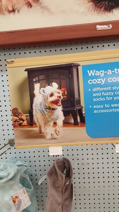 Petco Picture 2