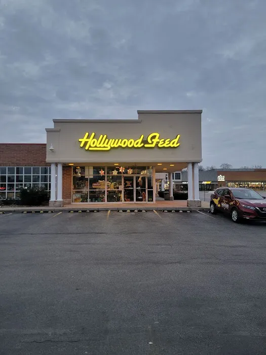Hollywood Feed Picture 6