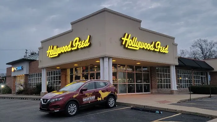 Hollywood Feed Picture 10