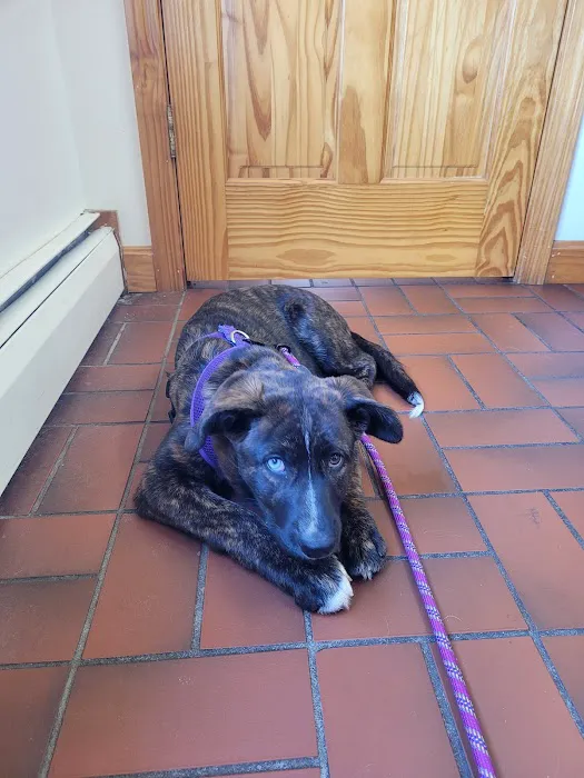 Greenwich Bay Animal Hospital Picture 5