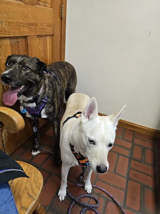 Greenwich Bay Animal Hospital Picture 3