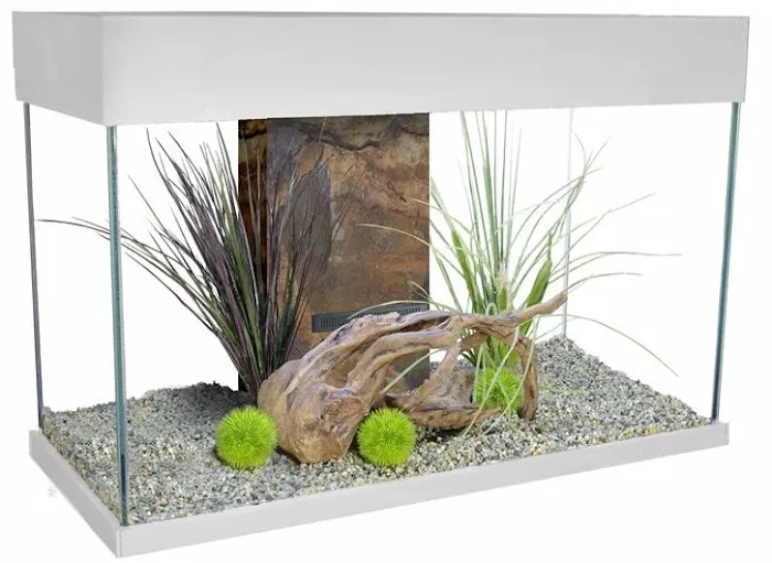 Rift Lake Aquatics Picture 7