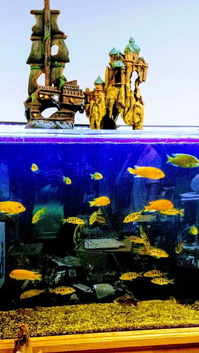 Rift Lake Aquatics Picture 6