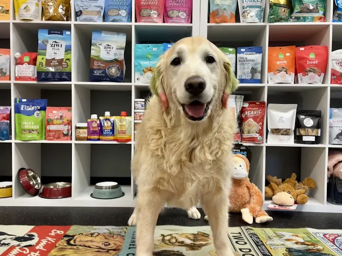 Sam’s Snack Shack Picture 10