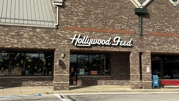 Hollywood Feed Picture 7