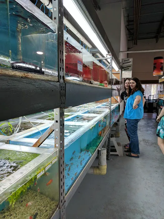 RMS Aquaculture Picture 4