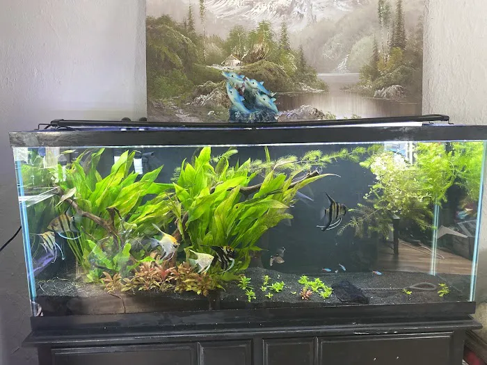 RMS Aquaculture Picture 7