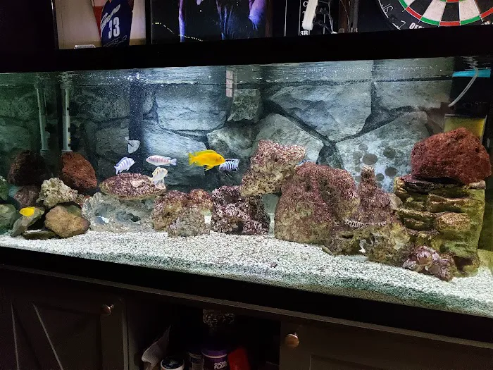 RMS Aquaculture Picture 2