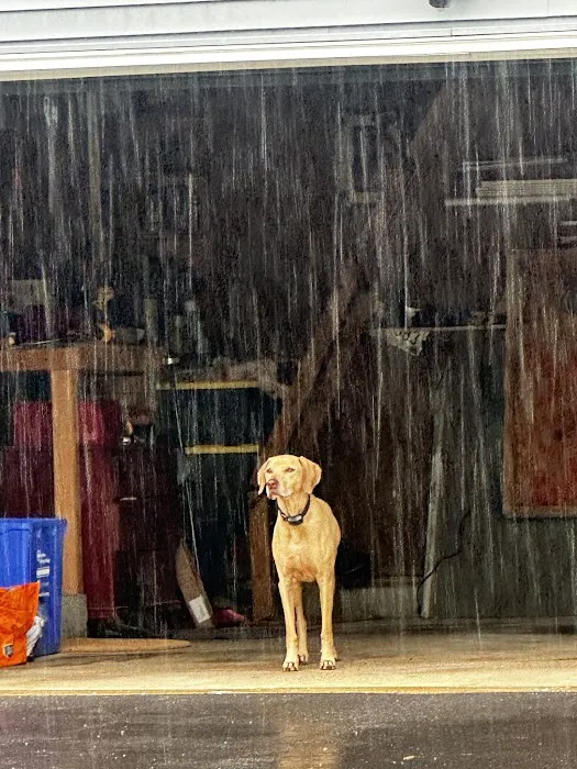 Greenwich Valley Vet Clinic Picture 3