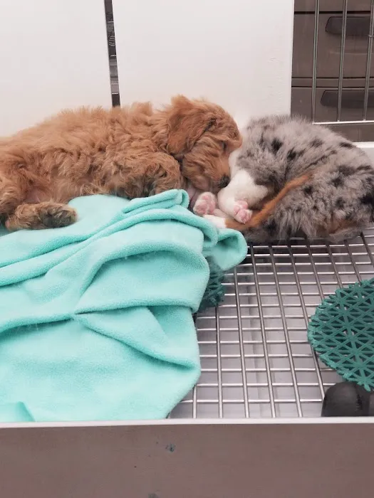 Petland Strongsville Picture 7