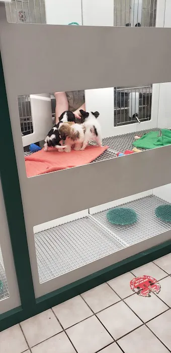 Petland Strongsville Picture 4