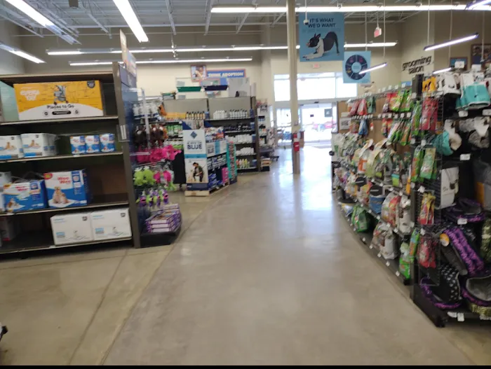 Petco Picture 7