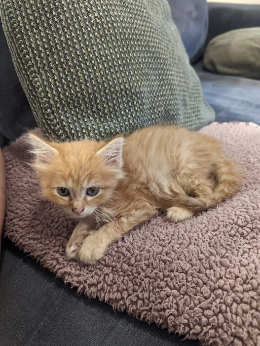 Pet's General Store Picture 3