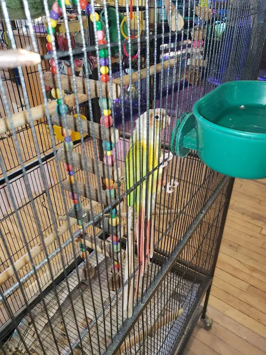 Pet's General Store Picture 4