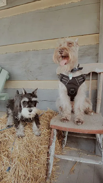 Pet's General Store Picture 5